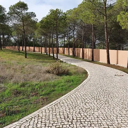 Do Pinhal - By Dalma Portuguesa *