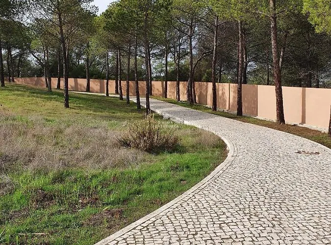 Do Pinhal - By Dalma Portuguesa *