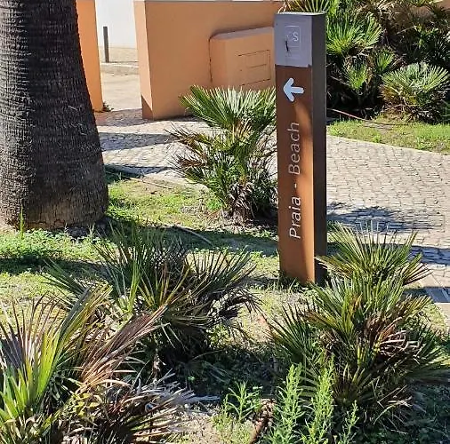 アパート Do Pinhal - By Dalma Portuguesa *