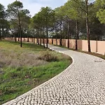 Do Pinhal - By Dalma Portuguesa *